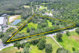 Plus de détails pour 5226 Lithia Springs Road, Lithia, FL - Terrain à vendre