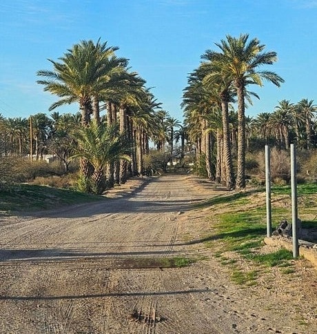 10850 N Avenue 76 E, Dateland, AZ for sale - Building Photo - Image 2 of 29