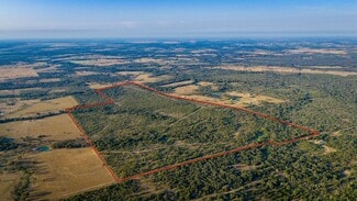 Plus de détails pour 879 County Road 421, Gonzales, TX - Terrain à vendre