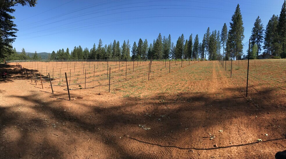 14762 Wabash Ave, Grass Valley, CA à vendre - Photo du bâtiment - Image 2 de 5