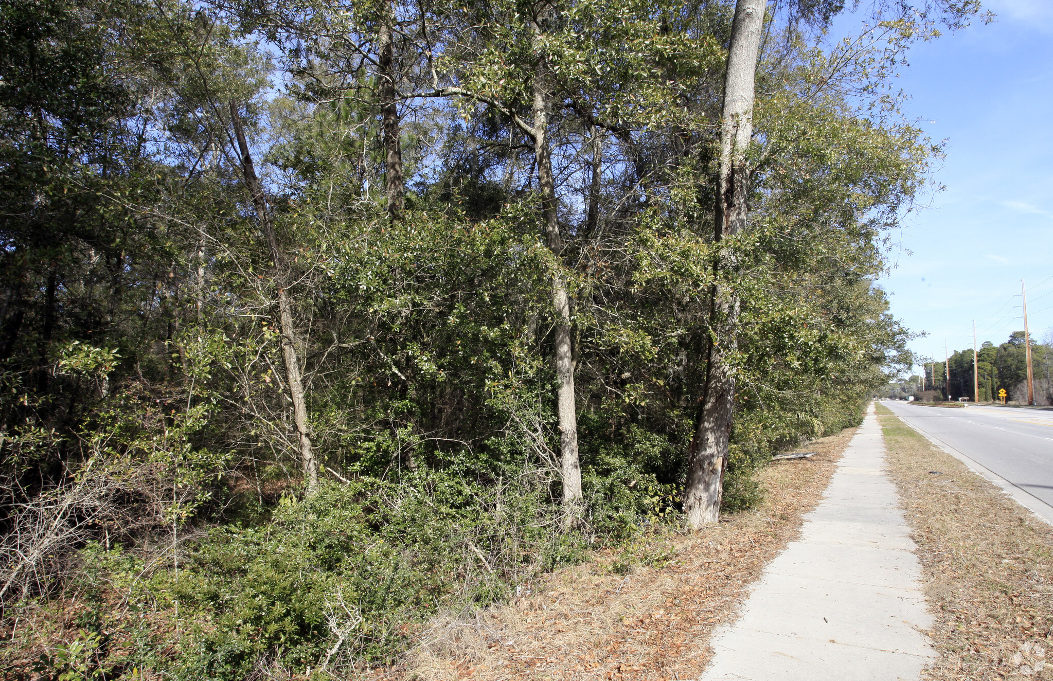 323 Sams Point Rd, Ladys Island, SC for sale Primary Photo- Image 1 of 1