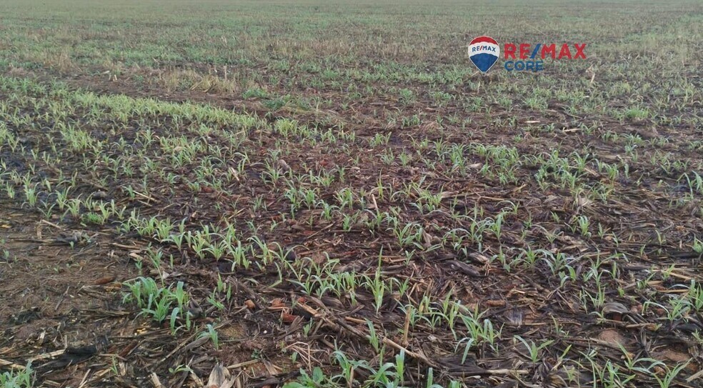 Land in Mérida, Badajoz for sale - Building Photo - Image 2 of 5