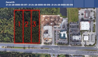 Plus de détails pour 12335 Winter Garden Vineland Rd, Orlando, FL - Terrain à vendre