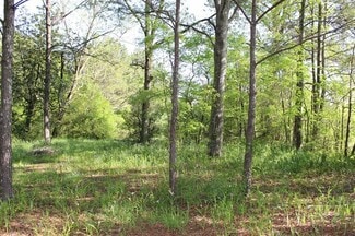 More details for 1374 Co 490 Rd, Cullman, AL - Land for Sale