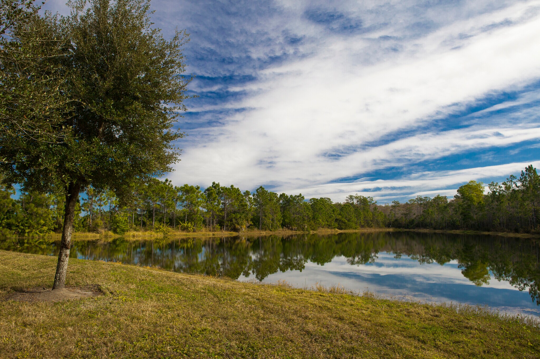 10501 Six Mile Cypress Pky, Fort Myers, FL for lease Building Photo- Image 1 of 12