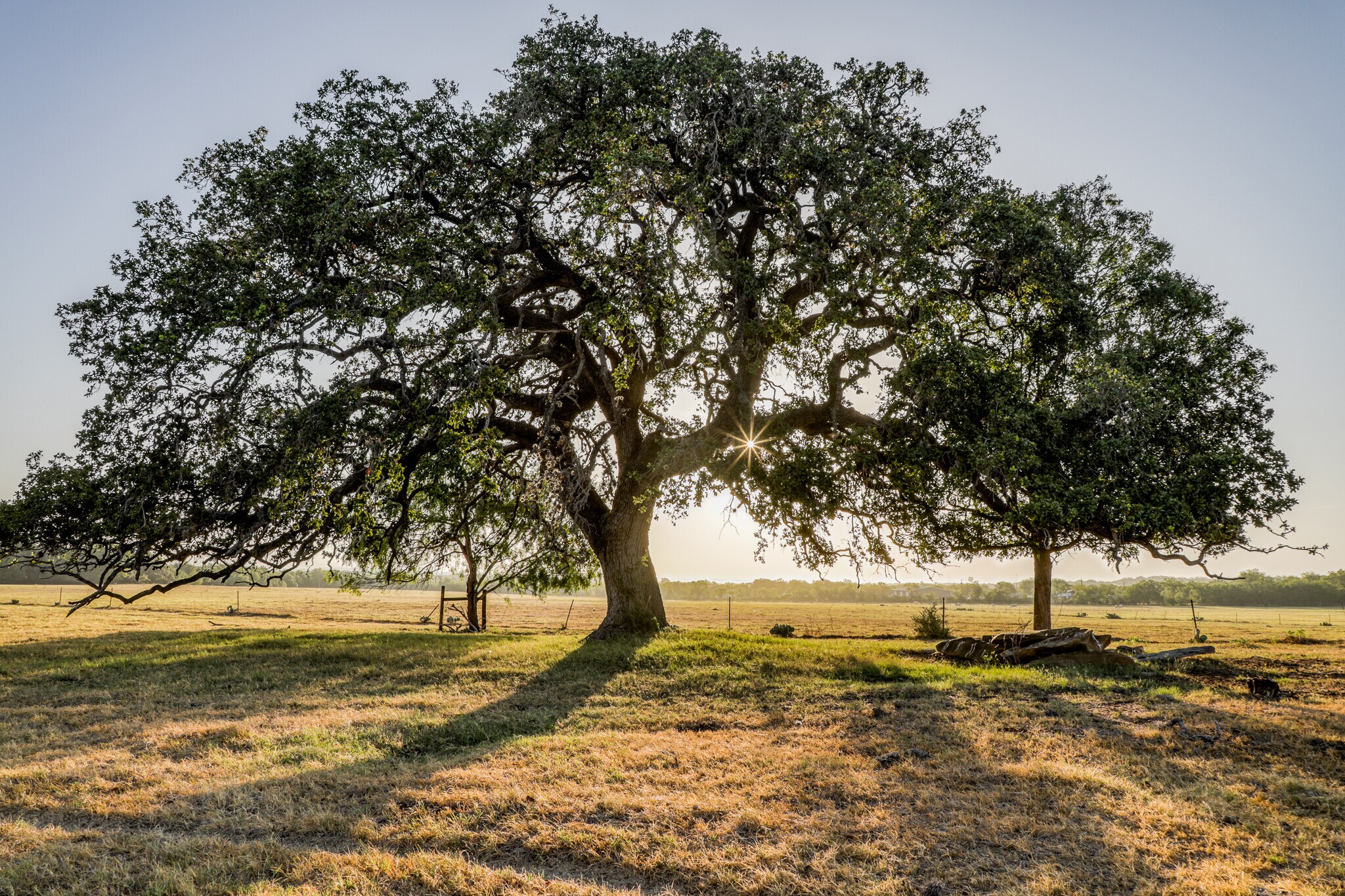 13089 Pearsall Road, Atascosa, TX, USA, Atascosa, TX à vendre Autre- Image 1 de 1