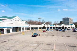 Plus de détails pour 22890-23000 Michigan Ave, Dearborn, MI - Commerce de détail à louer