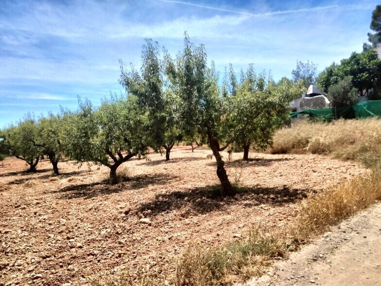 Land in Cehegín for sale - Building Photo - Image 1 of 7