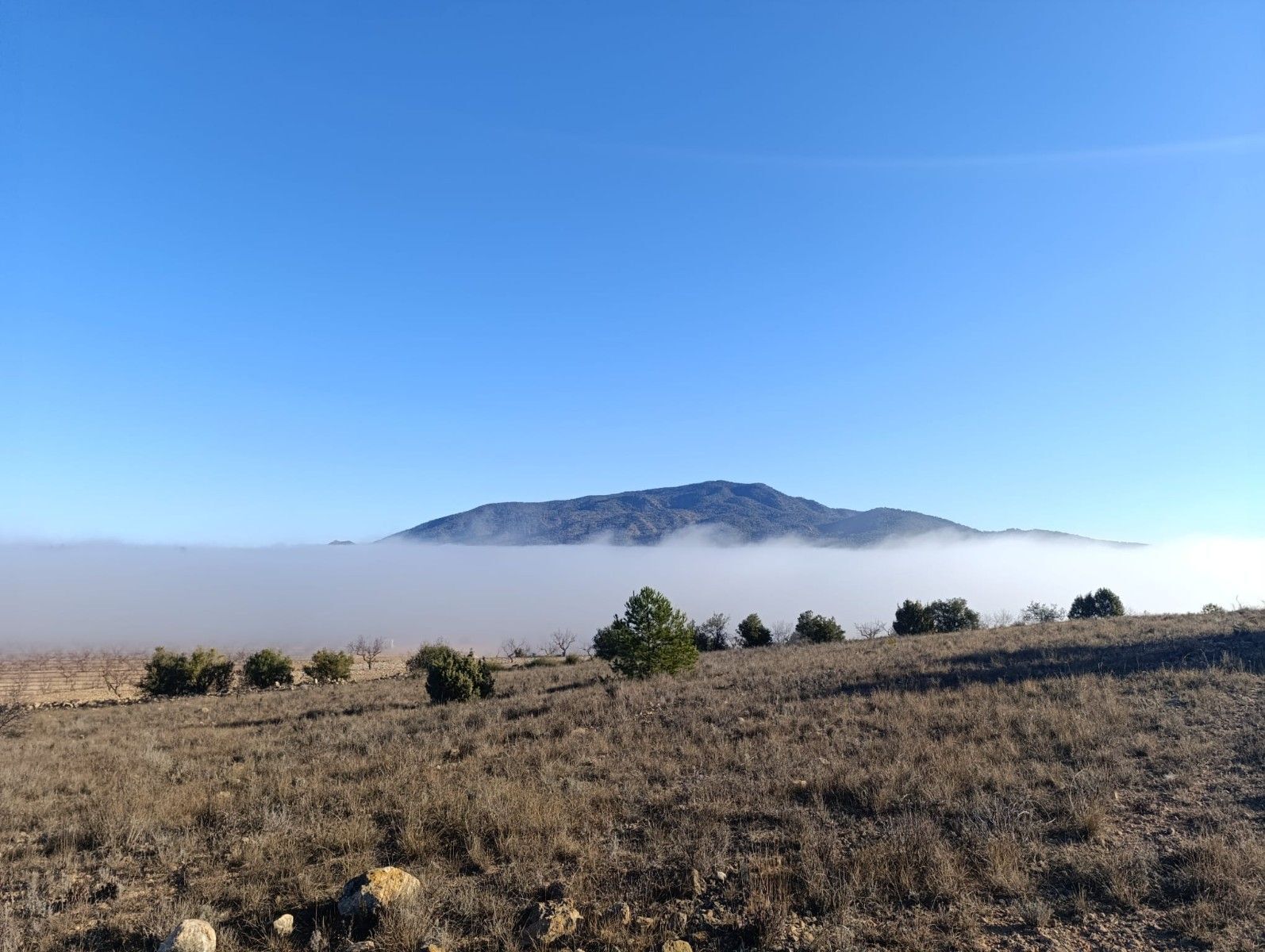 Terrain dans Yecla, Murcia à vendre Aérien- Image 1 de 12