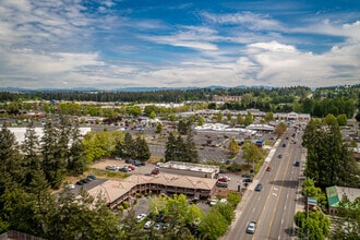 315 39th Ave SW, Puyallup, WA - AERIAL  map view