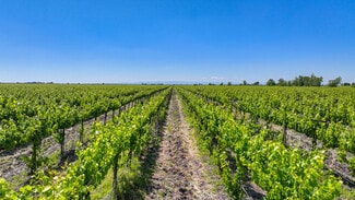 More details for 37830 Jefferson Blvd, Clarksburg, CA - Land for Sale
