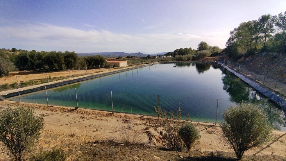 Land in Calasparra, Murcia for lease - Building Photo - Image 3 of 12