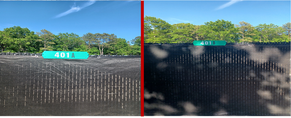 Manor Yaphnank Rd & Moriches Middle Island Rd, Manorville, NY à vendre - Photo principale - Image 1 de 3