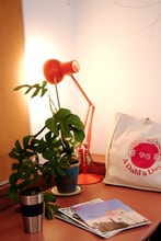 20-22 Lordship Ln, Londres à louer Photo intérieure- Image 1 de 16