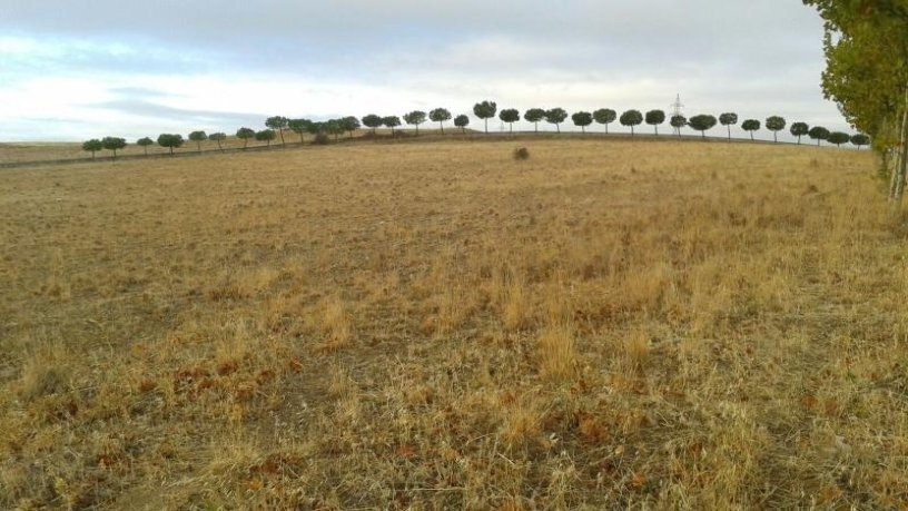 Land in Villamayor, Salamanca for lease - Building Photo - Image 3 of 7