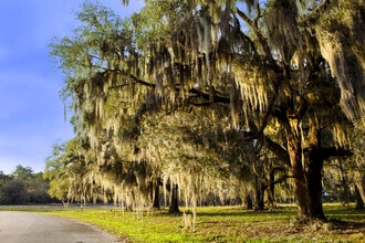 2204 Grove Point Rd, Savannah, GA - AÉRIEN  Vue de la carte - Image1