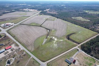 More details for 92 Acres South Williamsburg County Highway, Greeleyville, SC - Land for Sale