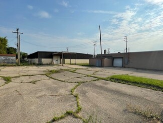 Plus de détails pour 12891 Mount Elliott St, Detroit, MI - Industriel à vendre