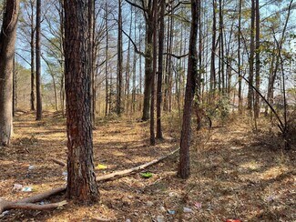 Plus de détails pour Highway 29 Hwy, Lilburn, GA - Terrain à vendre