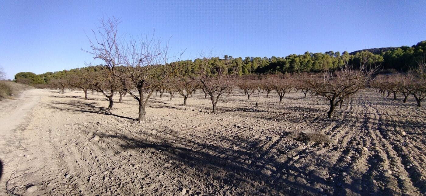 Land in Moratalla for sale Building Photo- Image 1 of 51