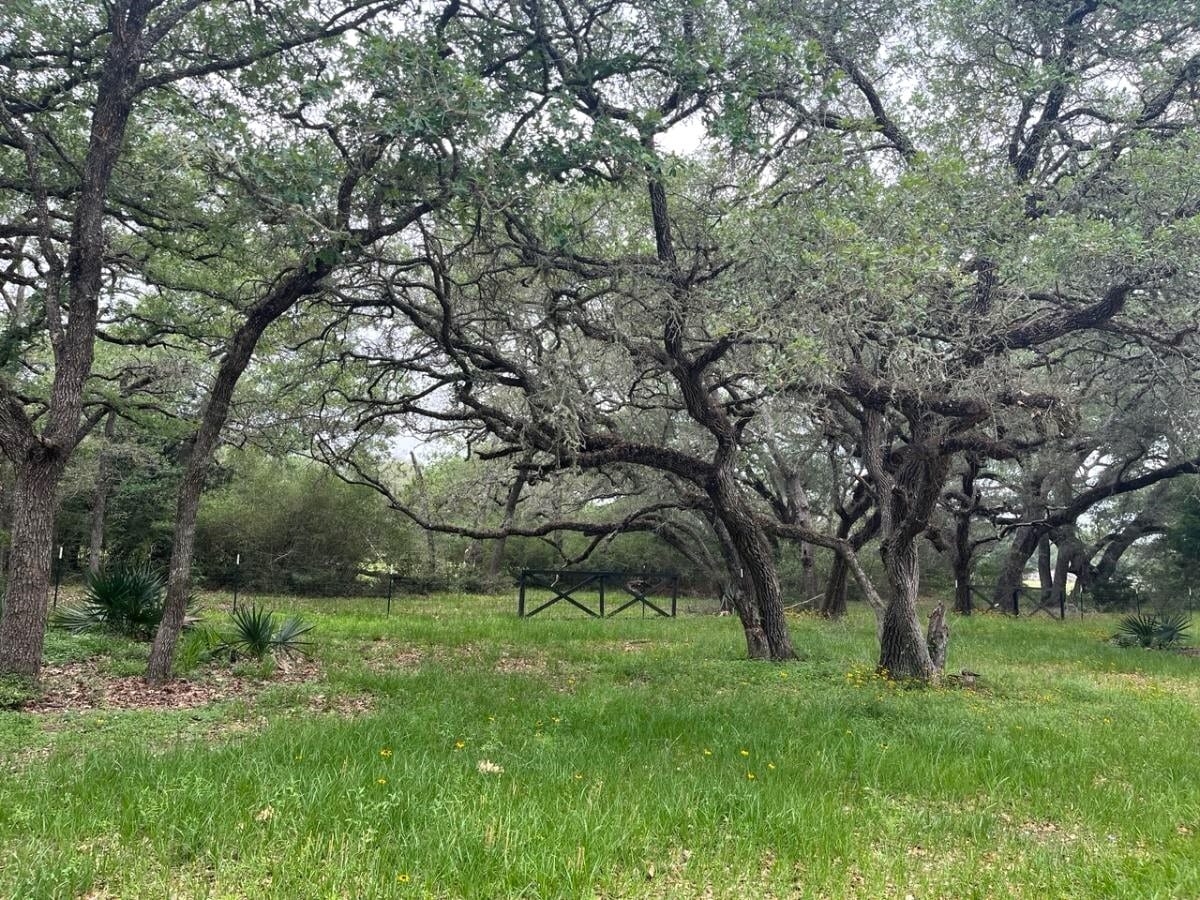 TBD County Road 19, Garwood, TX for sale Other- Image 1 of 7