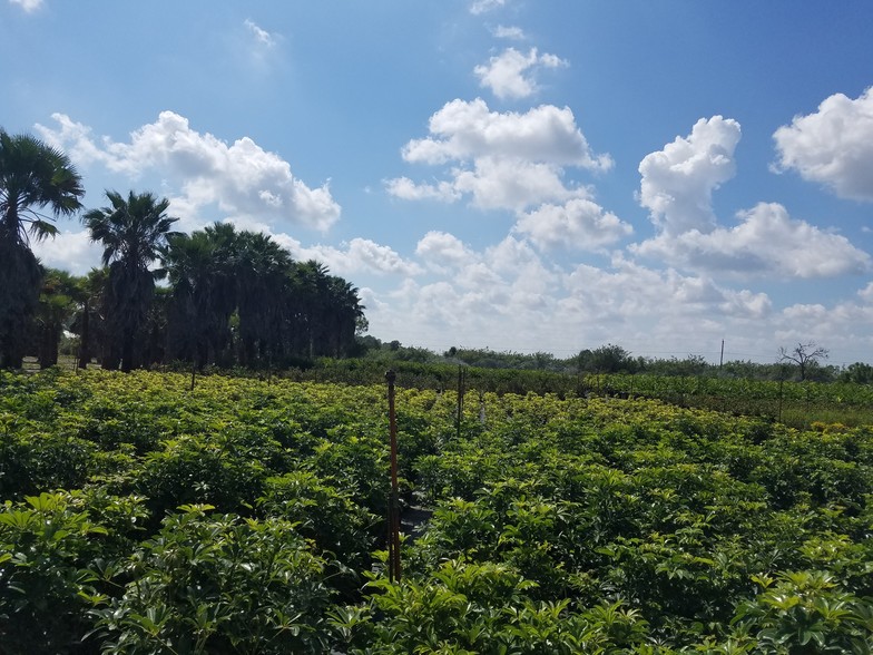 20940 Six L's Farm Rd, Estero, FL for sale - Primary Photo - Image 1 of 1