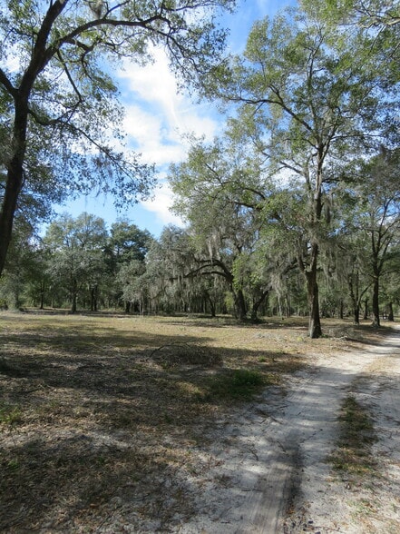 9570 NE 35th st, Bronson, FL for sale - Building Photo - Image 3 of 16