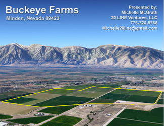 More details for 1300 Buckeye Rd, Minden, NV - Land for Sale