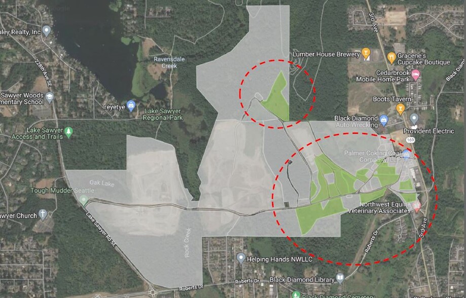 WA 169, Black Diamond, WA for lease - Building Photo - Image 1 of 2