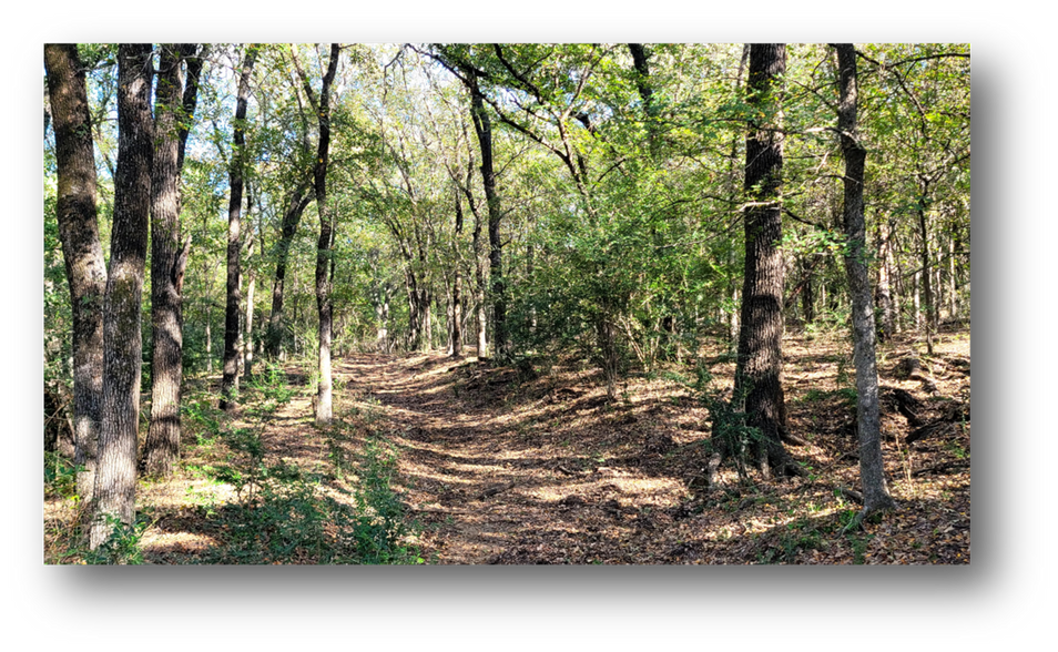 8601 Lowery Rd, Fort Worth, TX for sale - Building Photo - Image 2 of 6