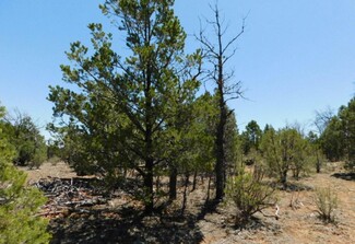 More details for 3517 Sunset Ridge Loop 163, Happy Jack, AZ - Land for Sale