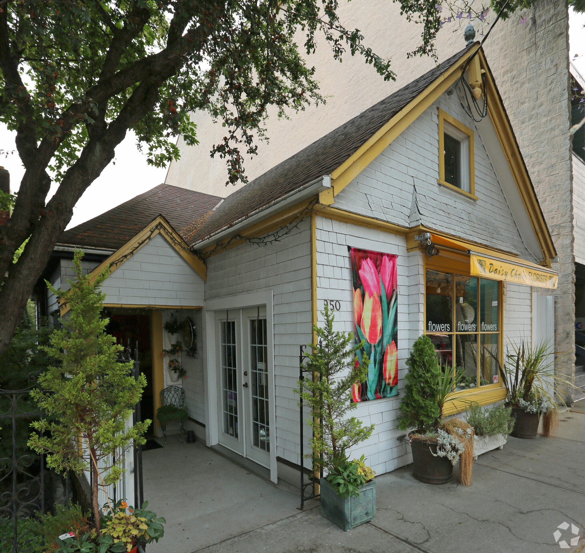 950 Fort St, Victoria, BC for sale Primary Photo- Image 1 of 1