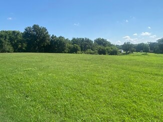 Plus de détails pour 310 Gulf Street, Walnut Grove, MO - Terrain à vendre