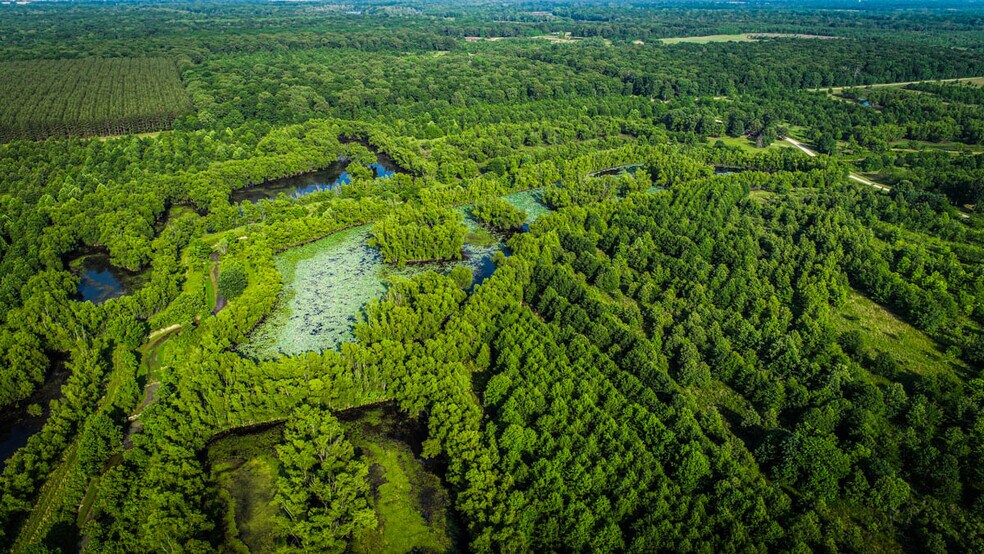 00 Hill Lake Rd, Griffithville, AR à vendre - Photo principale - Image 1 de 1