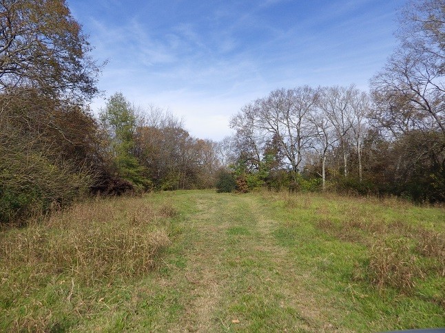 Reed Road Highway 82, Starkville, MS for sale - Building Photo - Image 1 of 9