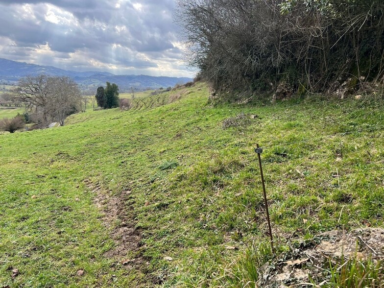 Alameda Cuenya, 25, Nava, Asturias à vendre - Plan de site - Image 3 de 4