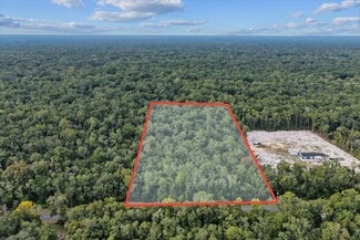 Plus de détails pour Unassigned Northeast 206th Avenue, Old Town, FL - Terrain à vendre