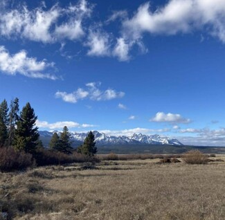 Plus de détails pour TBD Fisher Creek Loop, Stanley, ID - Terrain à vendre