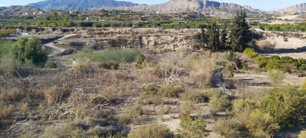 los, Villanueva del Río Segura, Murcia for sale - Aerial - Image 1 of 19