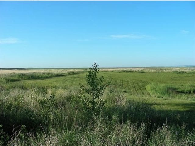 12 Ave SE, High River, AB for sale - Other - Image 3 of 7