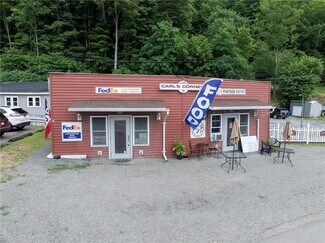 Plus de détails pour 62 Pulteney St, Hammondsport, NY - Commerce de détail à vendre