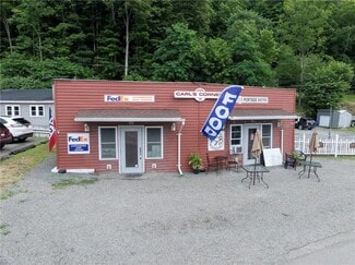 Plus de détails pour 62 Pulteney St, Hammondsport, NY - Commerce de détail à vendre