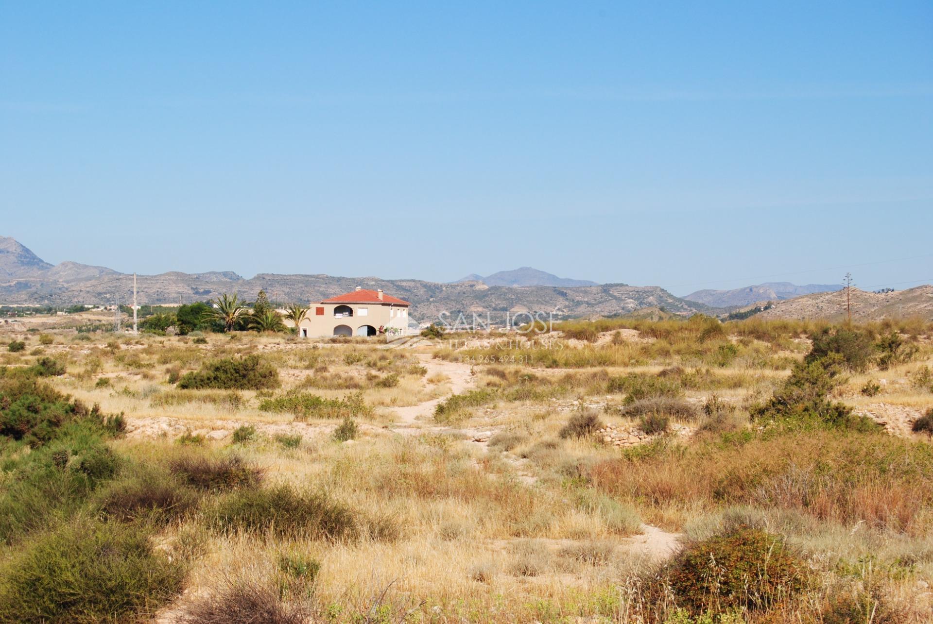 Land in Elche, Alicante for sale Primary Photo- Image 1 of 6