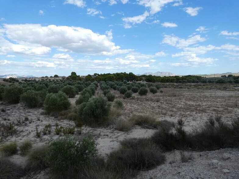 Land in Molina de Segura for sale - Aerial - Image 1 of 12