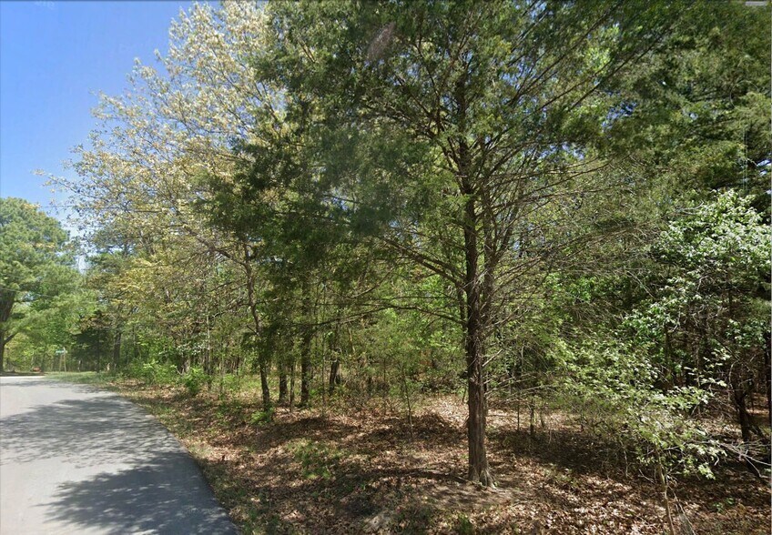 Lot 25 Strichen Drive, Bella Vista, AR à vendre - Photo principale - Image 1 de 5