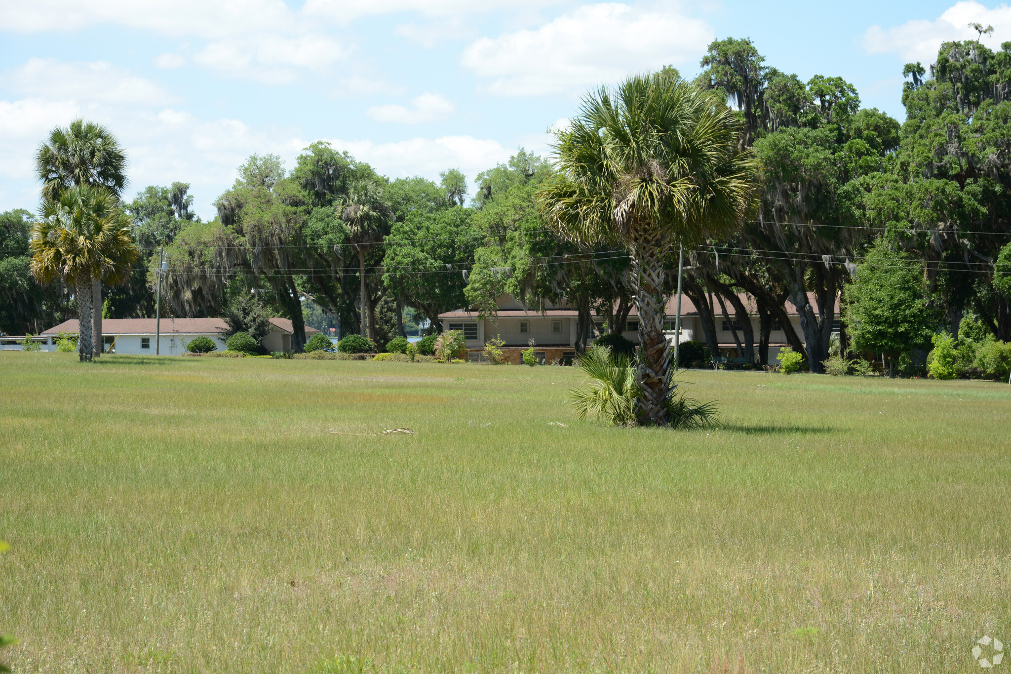 36319 Lake Unity Nursery Rd, Fruitland Park, FL à vendre Photo principale- Image 1 de 1