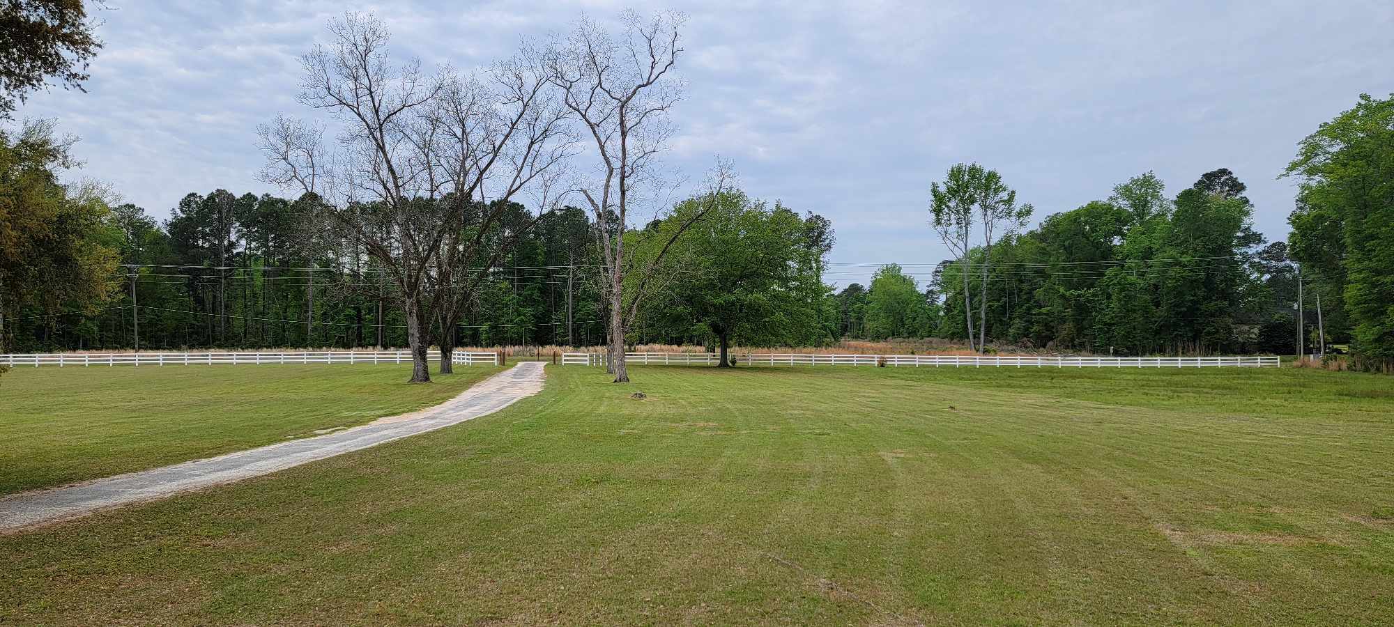 6380 Char Augusta Rd, Bamberg, SC for sale Primary Photo- Image 1 of 19