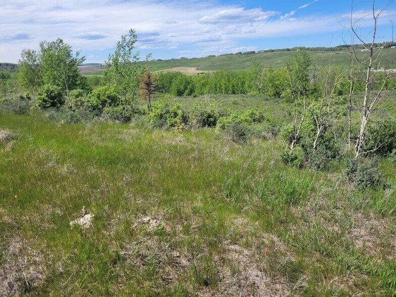 Lochend Rd, Rocky View No 44, AB à vendre - Photo principale - Image 2 de 16