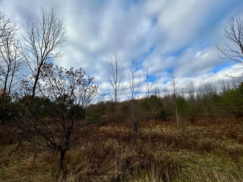 4056 Horseshoe Valley Rd W, Minesing, ON à vendre - Autre - Image 2 de 7