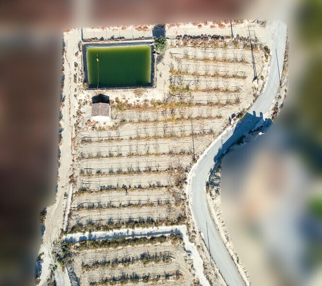 Land in Abarán, Murcia for sale - Aerial - Image 2 of 13